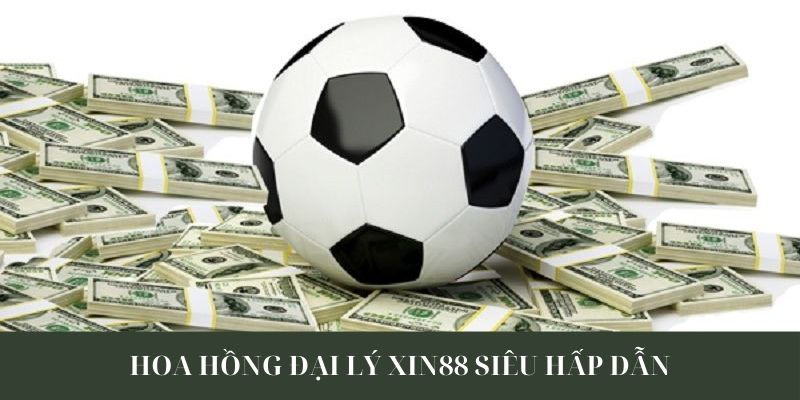 Chính sách hoa hồng và quy định chi tiết